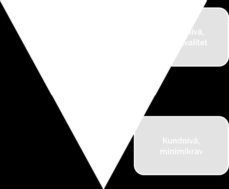 åtgärder från myndighetens håll. De tre vanligaste är minimikrav, incitament och information, se Figur 3.