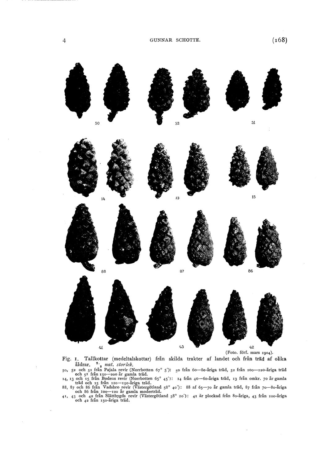 4 GUNNAR SCHOTTE. ( 168) 50 5 51 14 13 15 88 87 86 4 (Ft. förf. mars r94). Fig. I. Takttar (medetaskttar) från skida trakter af andet ch från träd af ika ådrar. ', nat. strek.