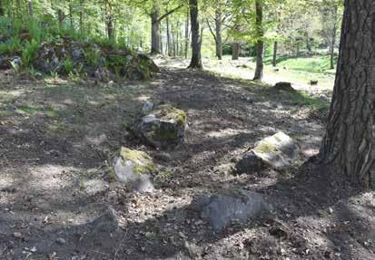Figur 7. A1, härdgropen före undersökning.