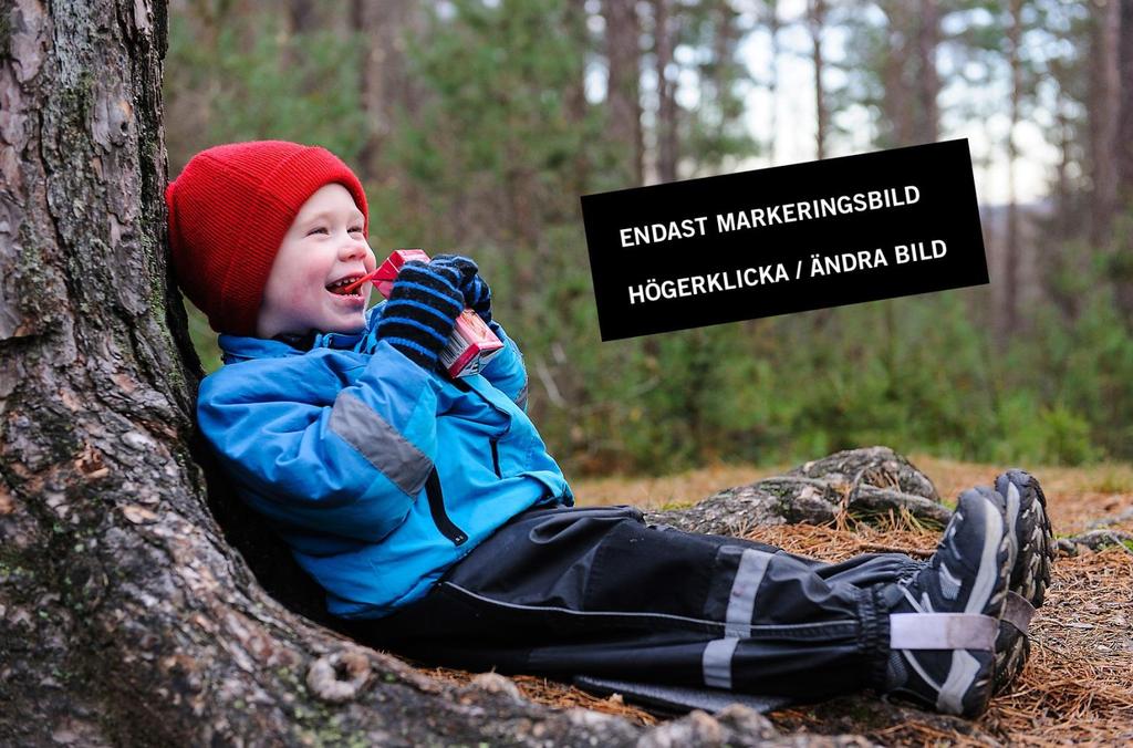 Naturvårdsverket SKL Naturvårdsverket