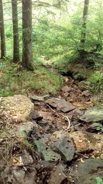 Naturvärdesobjekt nr 45 Klass 3 Påtagligt Vattendrag Mindre vattendrag Påtagligt biotopvärde Visst artvärde Varierad botten med sten, grus, häll och block.
