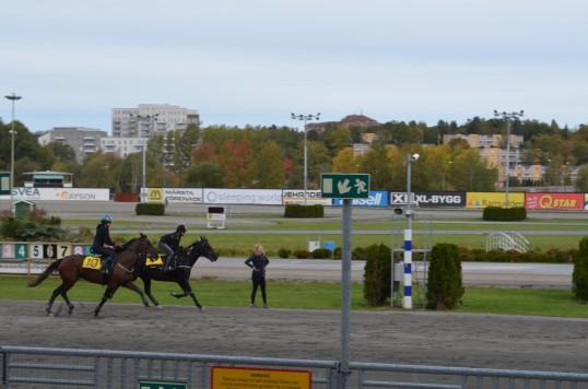 Monté är den ultimata uppgiften för min ADHD-hjärna Provstarter på Solvalla Svettigt ekipage efter avslutat provlopp Skönt med en dusch tycker Tanya från Solvallas travskola.