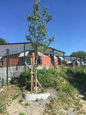 BOTKYRKA KOMMUN Teknisk Förvaltning Lokalförsörjning & Fastighet TJÄNSTESKRIVELSE 2018-10-08 2 [2] Dnr TEF/2018:245 Bakgrund I investeringsplanen för 2014-2017 fanns det medel avsatta för