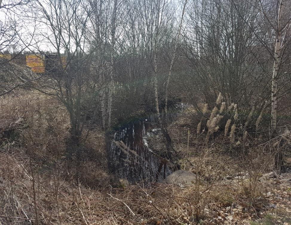 gyttjelera. Det förekommer även isälvssediment i nordöstra delen av området.