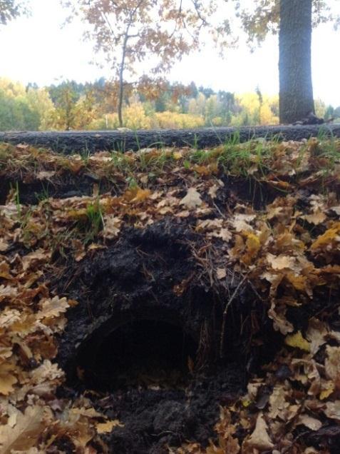 av diket var mycket grunda och är eventuellt i behov av en ökad dimension. Det noterades även att varken trummor eller dike var rensat, vilket kan leda till översvämning av väg vid kraftiga regn.