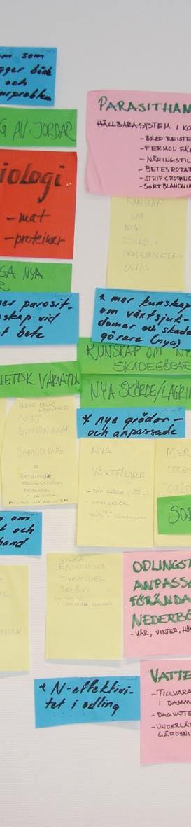 Förord Intresset för ekologiska produkter har ökat stort på marknaden och hos konsumenterna sedan det förra ramprogrammet skrevs (Ekologiskt lantbruk produktion och konsumtion.