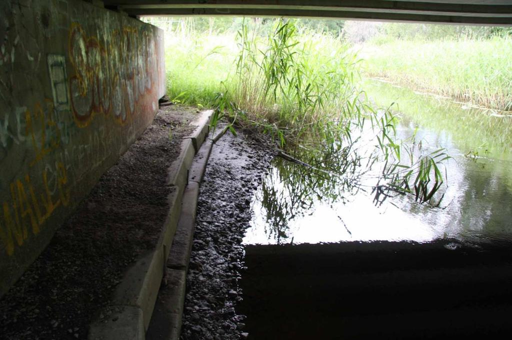 B110: strand uppstöttad av betongbalkar,
