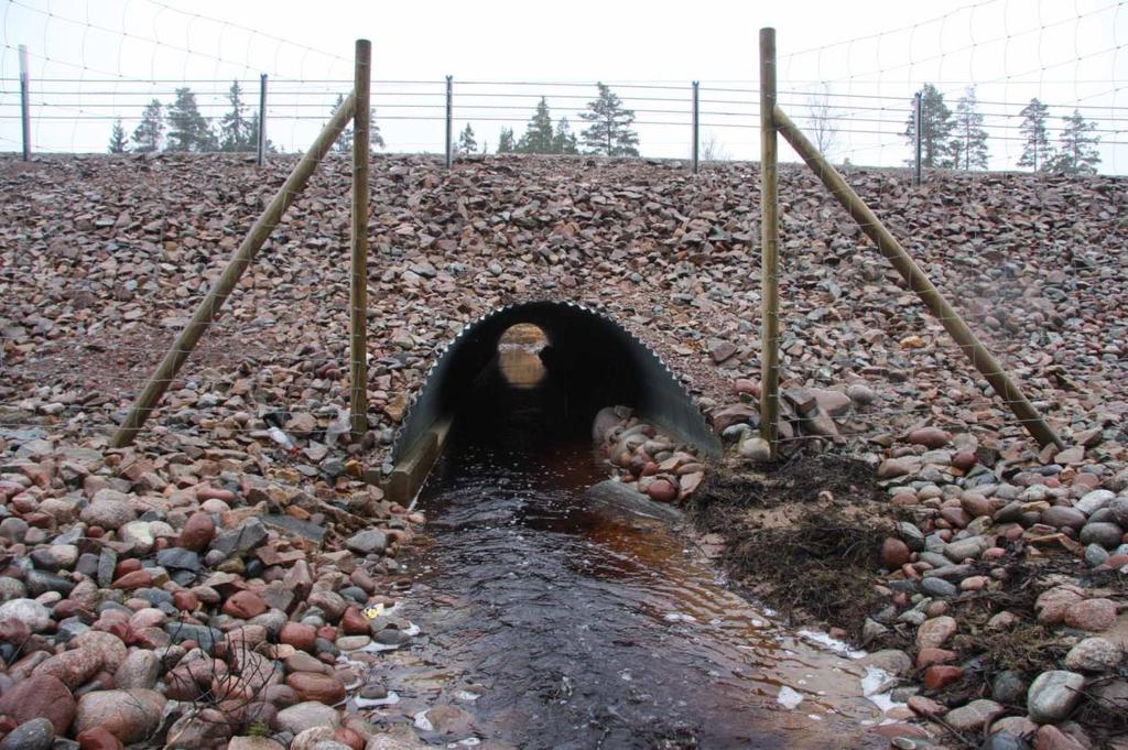 Trumma bäck mellan Dammsjön och