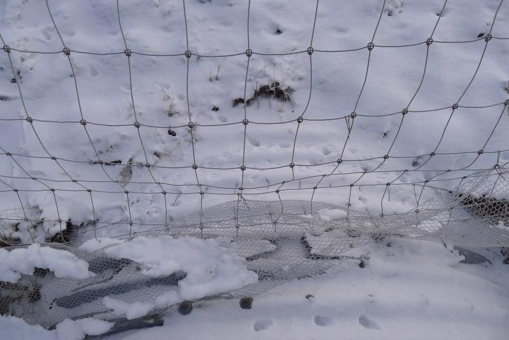 B977: kycklingnät monterat på