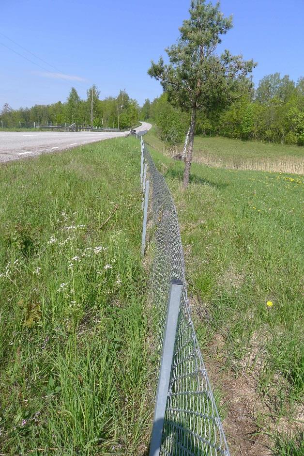 H48: här syns att stängslet har släppt från stolparna till