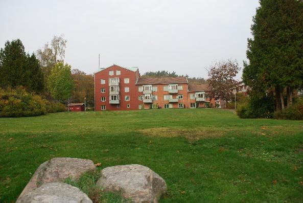 närheten av grundskola och bostäder Grönyta som blir mycket viktig vid förtätning av stadskärnan och viktig för klimatanpassning Yta av högt värde för dagvattenhantering i området.