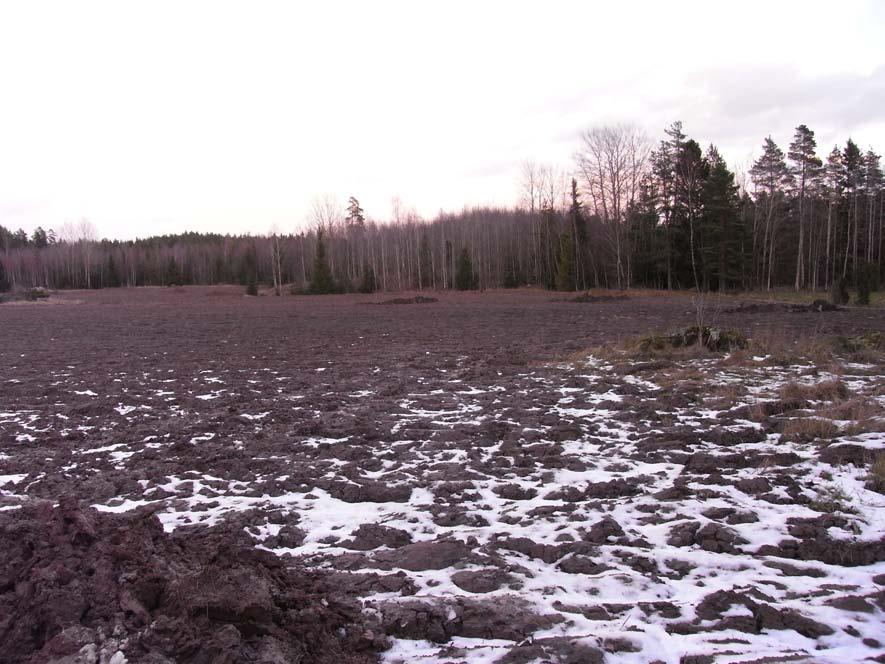 Inledning Arkeologikonsult har utfört en arkeologisk särskild utredning på fastigheten Kanik-Lundby 2:4 i Bärby, Västerås socken och kommun enligt beslut av länsstyrelsen i Västmanlands län (dnr