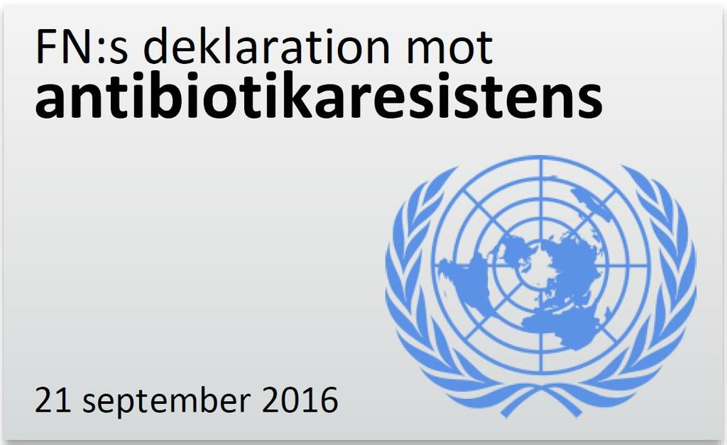 8 FN och WHO visar visst