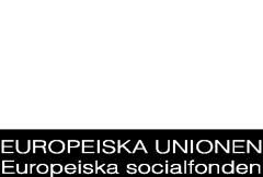 VO-College en av nyckelaktörerna Projektens strategiska betydelse för yrkesutbildningen lok/reg/nat Bygga på befintliga strukturer Samverkan mellan utbildning och arbetsliv Partssamverkan Bidra till