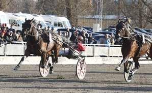 Resultatet syns på landets samtliga trav- och galoppbanor och i dag är Halmstadsföretagets teknik helt
