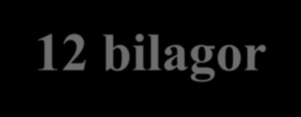 12 bilagor 1. Lista gällande författningar 2. Lista miljöavtal och konventioner 3. Dokumentationskrav 3A. Information tillgänglig för allmänheten 3B. Information tillgänglig för certifieraren 4.