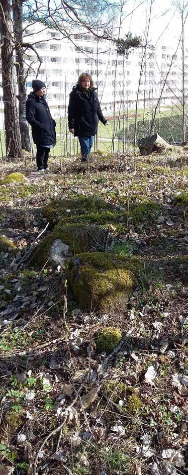 De är svåra att se. Gravarna är ungefär 1 000 år gamla. De är från vikingatiden. Vikingatiden är slutet av järnåldern.