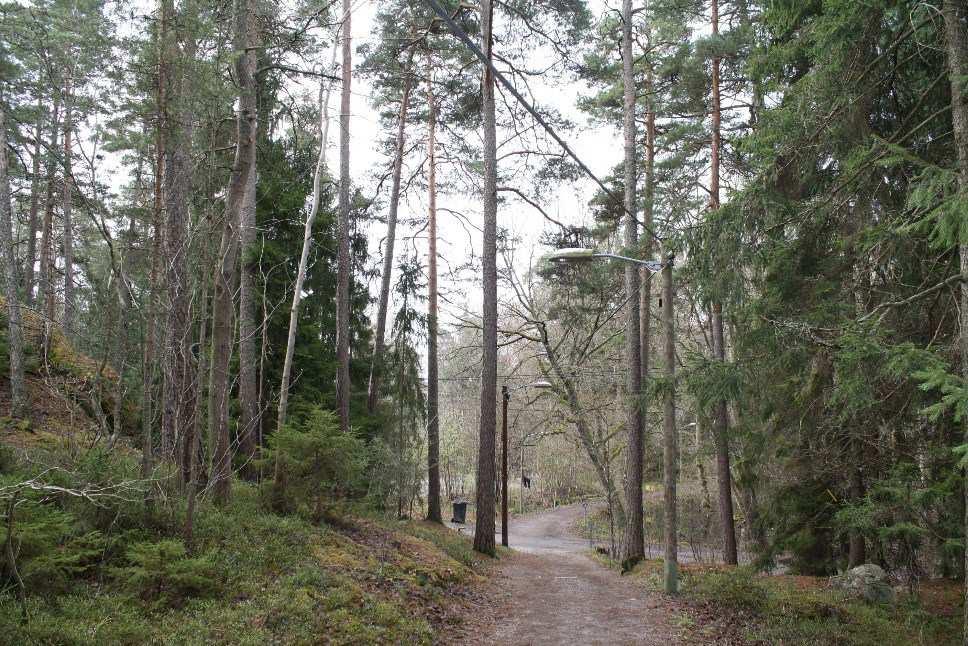 Sida 10 (31) Förutsättningar Natur Mark och vegetation Planområdet består av kuperad hällmarksskog. En mindre del av planområdet är beläget inom ett område i Ålstensskogen där en mindre våtmark finns.