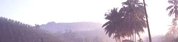 Artlista Endemiska arter i fetstil 1 X Sri Lanka Spurfowl 1 spelande Sinharaja Forest 2 X Sri Lanka Junglefowl ca 20 Sinharaja Forest 3 X Lesser Yellownape 5 Sinharaja Forest 4 Black-rumped Flameback