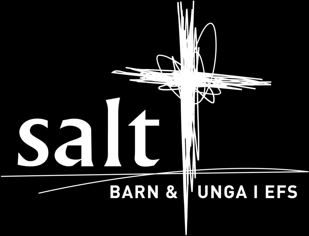 v. 2018-08-30 PERSONUPPGIFTSPOLICY Salt barn och unga i EFS Sist i denna personuppgiftspolicy finns en kortfattad sammanfattning med ett mer lättillgängligt språk.