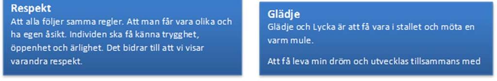 Gemenskap Alla är välkomna att bygga samhörighet och gemenskap, med intresset för hästen som gemensam