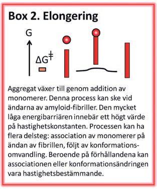 Det finns ett större motstånd att starta en ny ansamling än att bygga på en som redan finns. På kemiskt språk säger man att energibarriären för nukleering (Box 1) är högre än för elongering (Box 2).