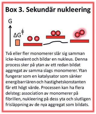 luft-vatten-gränsytan. Detta kan leda till det vi kallar primär nukleering, kärnbildning (Box 1).