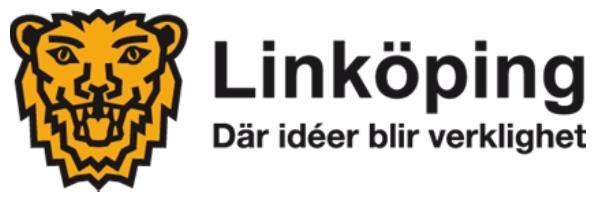 [Dubbelklicka här för att infoga en bild] Riktlinjer för Linköpings