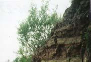 Litostratigrafi