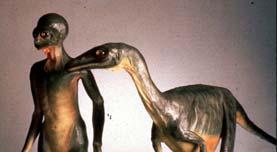 Evolutionär