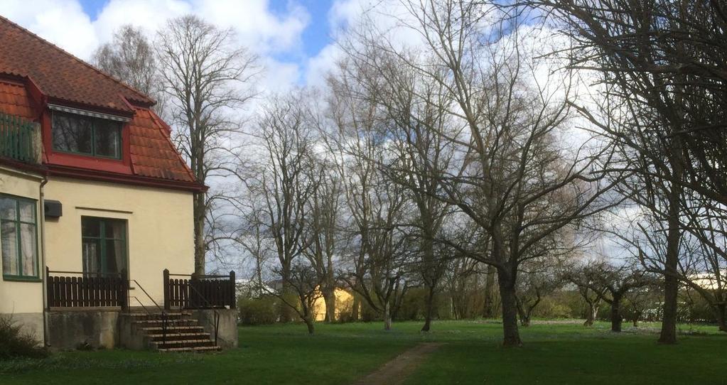 Figur 7. Fruktträdgård inom fastigheten Södra Svalöv 5:20 (fruktträd markerade med röd ring.