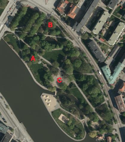 Aktiviteter som finns att tillgå är en lekplats placerad i den östra delen av parken. Ett vollybollområde som är placerad på holmen söder om å-stråket.