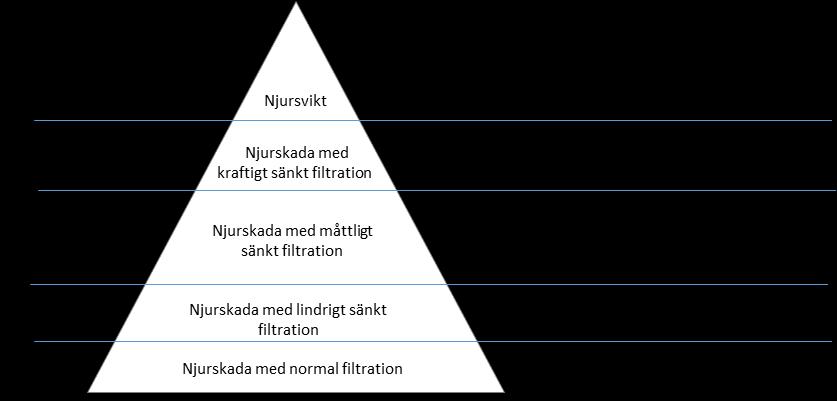 Regional medicinsk riktlinje Kronisk Njursjukdom Fastställd av Hälso- och sjukvårdsdirektören (dnr HS 2017-00055) giltigt till december 2018.