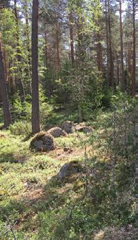 Banläggare är Ulf Hamrefors och Anders Älvegran är tävlingsledare. Arenan ligger i Kilsta by strax öster om Kungsbyn.