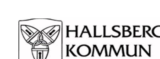 Återrapportering Intern kontrollplan för år 2018 Delårsrapport X Årsredovisning.