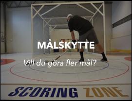 Ingen utrustning utöver egen kropp och App för att genomföra kvalitativ träning. Oavsett ålder kan du nå högsta nivån om din drivkraft är tillräckligt stor.