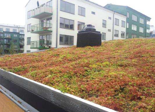 6.1.2 Gröna tak För att minska avrinningen av dagvatten från takytor kan byggnader förses med så kallade gröna tak, Vegetationsklädda takytor minskar den totala avrinningen jämfört med