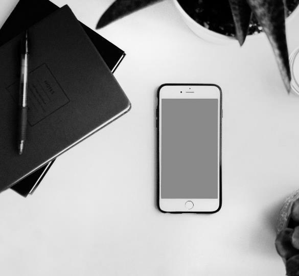 3 Utveckla digitala lösningar för att stödja SIP Avsaknad av digitalt stöd för dokumentation och uppföljning av SIP betonas ofta av verksamheterna.