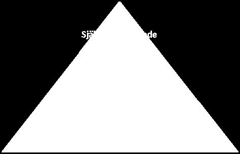 1 Grundläggande motivationsteorier För att få en grundläggande överblick om hur motivation skapas för människan förklaras nedan tre olika motivationsteorier.
