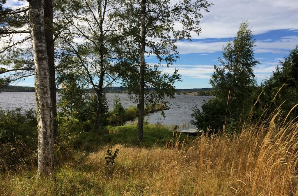 Planeringsenheten Anas Skaef, 0240-861 61 anas.skaef@ludvika.