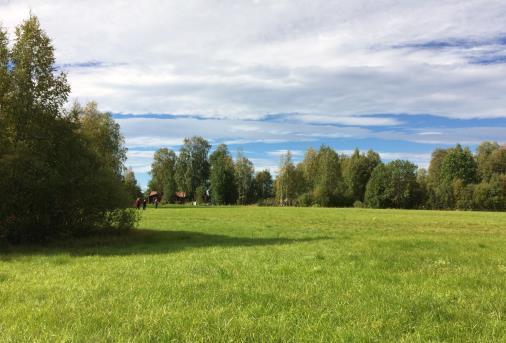 LUDVIKA KOMMUN SAMHÄLLSBYGGNADSNÄMNDEN PLANBESKRIVNING ÖSTRA RÖNNÄSUDDEN, ETAPP 2 understiga denna nivå, (Se diagramet nedan). Detaljplanen tillåter att marknivån kan justeras till ±1 m utan marklov.