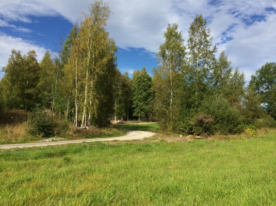 LUDVIKA KOMMUN SAMHÄLLSBYGGNADSNÄMNDEN PLANBESKRIVNING ÖSTRA RÖNNÄSUDDEN, ETAPP 2 LIS-området omtolkas så att ett motsvarande bostadsområde kan placeras längre från Björkens strand men närmare det