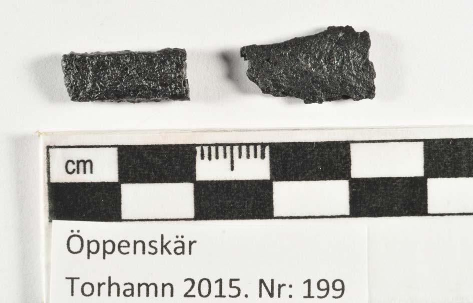 Konserveringsrapport MJ Rapport id: