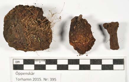 Konserveringsrapport MJ Rapport id: K15-87 Ort/Anläggning: Öppenskär, Torhamn 2015 Fynd nr: Kons nr: 395 Kontaktperson: Mikael Henriksson Datum in: 2015-11-27 Datum ut: 2016-05-12 Föremål: Fragment