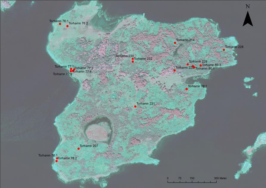 Fig. 2. Aktuell fornlämningsbild för Öppenskär hösten 2016. Ön har under historisk tid nyttjats för slåtter och bete, och under 1900-talet även brukats för militära ändamål.