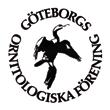 FÅGLAR PÅ VÄSTKUSTEN SUPPLEMENT 2017:1 Fåglar i göteborgstrakten 2014 Omslagsbild Stefan Svanberg FiG-2014 Vitvingad tärna Torslandaviken, 20 maj 2014 om rapportkommitteér, rrk göteborg och den här