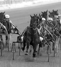 MONTÉLOPP FEBRUARI VARMBLOD KALLBLOD VAD HÄNDER 2012? 1 onsdag 2 torsdag 3 fredag 4 lördag 5 söndag 6 måndag Boden Bergsåker, Romme Välkommen till en ny travsäsong!