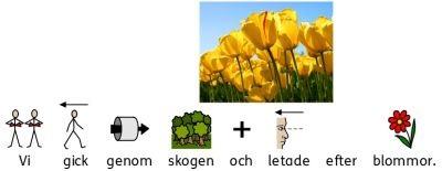 I SymWriter 1 I SymWriter 1 var du tvungen att först bestämma om bilden skulle bli en illustration eller ersätta en symbol och välja rätt ikon för ditt val.