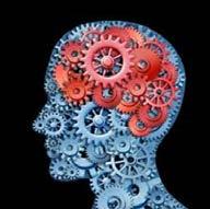 Criteria for Behavioral and Cognitive dysexecutive syndrome Behavioral disorders Highly suggestive Global hypoactivity with apathy and/or abulia Global hyperactivity with distractability and/or