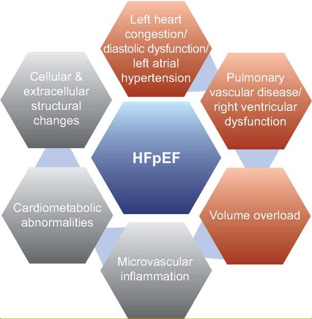 Mechanisms in HFpEF Lam CSP, et al.